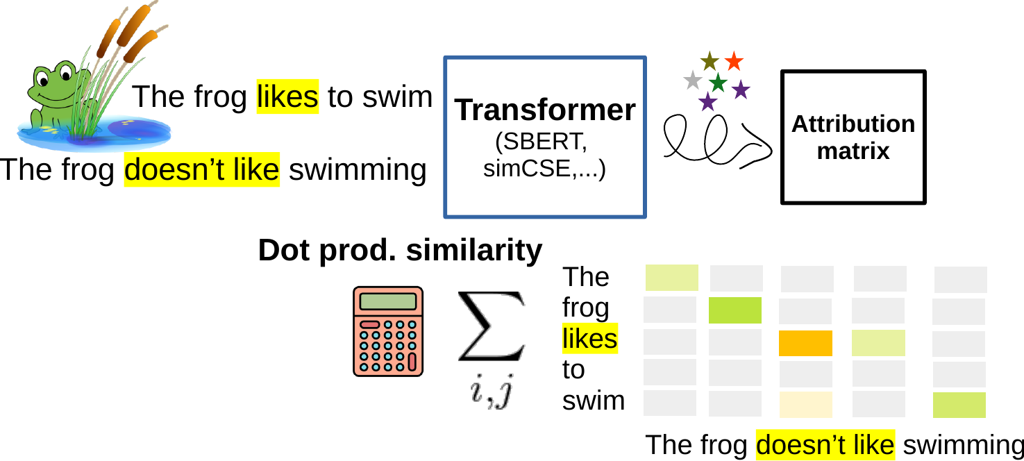 Token attribution